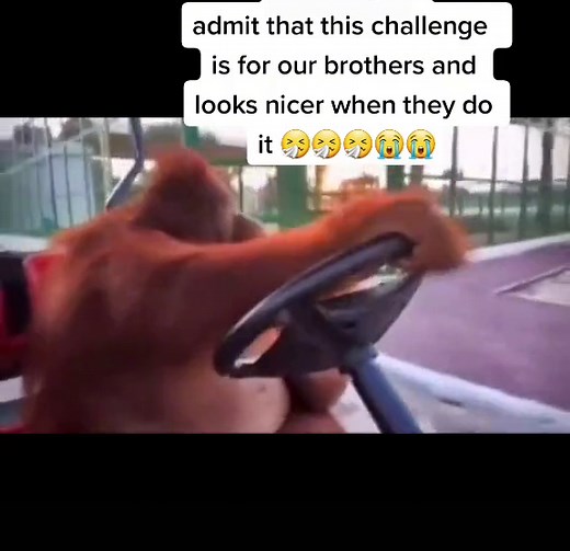 please and thank you 🥺🥺 #tiktokbotswana #tiktoksouthafrica #umlando #umlandochallenge