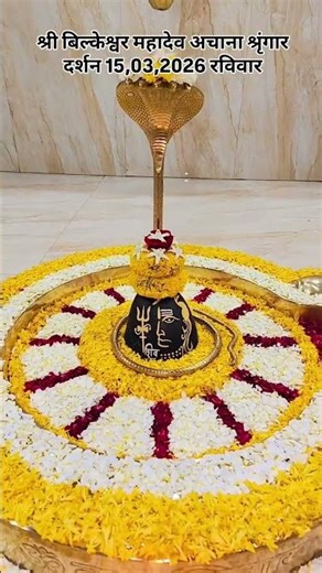 Maha Shivratri Status 🔱 Shivratri Status 🪘 Shiv Ratri Status 🕉️ #shivratri #shiv #status #sh Mahakal