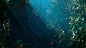 Animated Journey Through Lush Tropical Jungle with Sunbeams