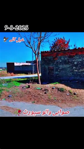 tik tok video vril for you vril fyp ✌️❣️❣️❣️@🥀.Hasنain👑