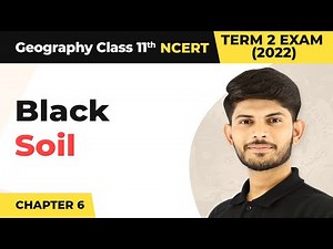 Class 11 Geography Chapter 6 | Black Soil - Soils