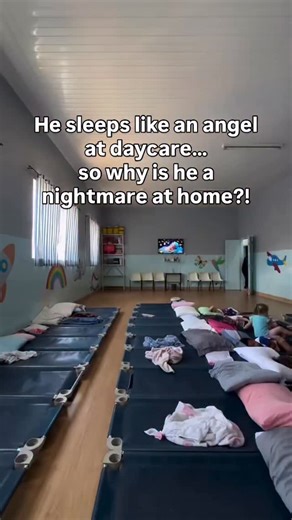 Chiara | Sensory Sleep Educator on Instagram: "Stop the guilt trip immediately. When teachers tell you: “Oh, he just lies down and sleeps!” they are not telling you that you are doing it wrong. They are describing two completely different biological mechanisms. At Daycare: The “Power of the Pack” Here, Social Regulation takes over. Mirror neurons kick in. The child sees other children sleeping, the environment is designed for it, and their brain aligns with the group. They aren’t “better behaved