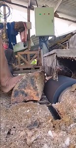 782K views · 1.6K reactions | 4 Ever Happy on Reels | Facebook