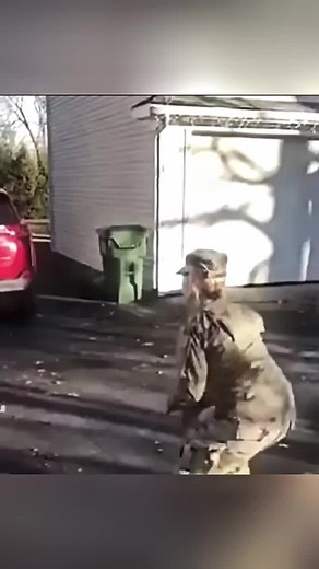 #militaryhomecoming #surprisehomecoming #soldiercominghome #familylove #surprise #cominghome #militarytiktok #deployment #puppy #fyp