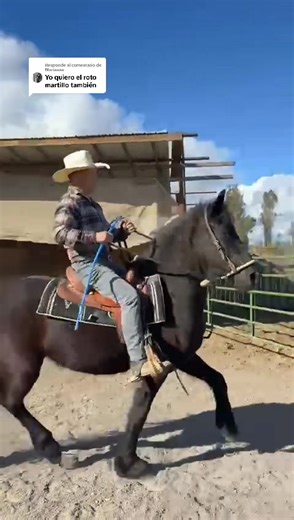 Domando un Caballo por Primera Vez: Guía Práctica
