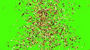Golden Confetti Party Popper Explosion On Stock Footage Video (100% Royalty-free) 32161687 | Shutterstock