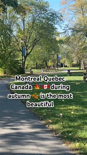 Fall in Montreal Feels Like a Storybook 🍂 | Autumn Magic in Canada