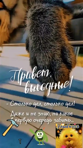 SERG PVL on TikTok