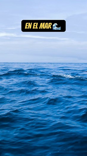 4.3K views · 45 reactions | Cosas extrañas encontradas en lugares inesperados  #fypシ゚ #curiosidades #contenido #SabiasQue #parati | Jonathan Axell | Facebook