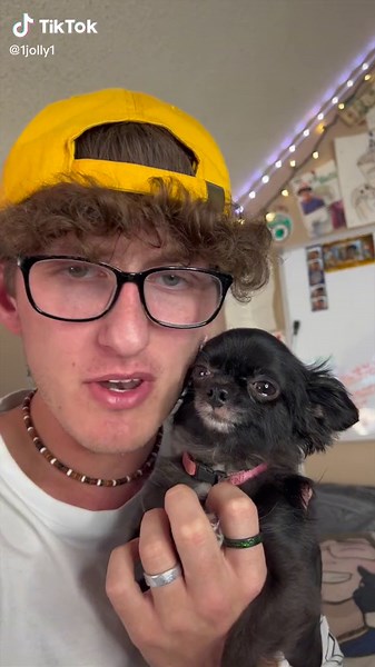 Paws of Fury: The Legend of Hank - Get Tickets Now!