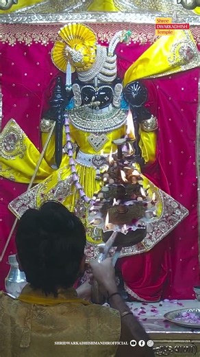 राजाधीराज द्वारीकाधीशजी के संध्या आरती दर्शन 🙏🏻#sandhyaaarti#ShridwarikadhishmandirOfficial