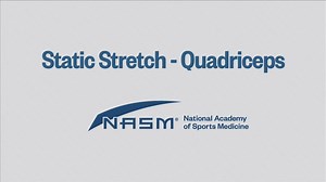 Quadriceps - Static Stretch