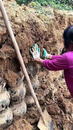 Digging Up Clay Jars From The Hillside | What’s Inside Is Decades-Old Aged Chinese Baijiu