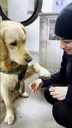 Watch to Find Out How Much This Dog LOVES Kisses!