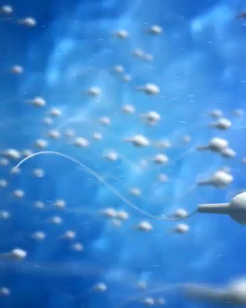 Curious about sperm donation clinics? Learn more about the whole process and what to expect in this guide. | The Know How Spot | Facebook