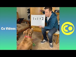 Ultimate Robby and Penny Instagram & Tik Toks 2020 | Funny Robby and Penny Tik Tok Videos