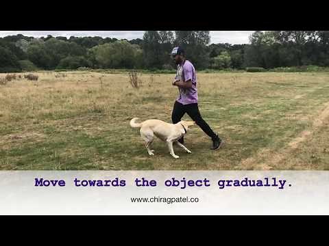 Counting Game by Chirag Patel