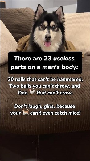 23 useless Parts on man’s body 😂