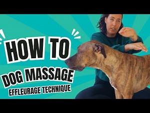 How to massage your dog: Effleurage Dog Massage Technique
