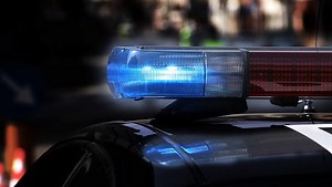 Police log: Neighbor peeking over fence