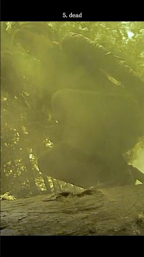 #movie Elektra's Tree Ambush: When Stealth Attacks Go Wrong (Savage Kill)