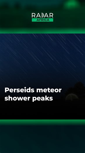 The Perseid meteor shower peaked on Tuesday, creating a magnificent sight across the globe for sightseers. | Radar Africa