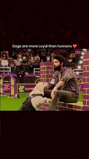 Dog and his Owner movies hindi 777 Charlie |charlie got champion award #doglover #charlie #trending