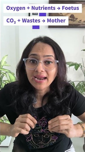 Placenta – ICSE Biology 2 Marks You Can’t Afford to Lose! | Reproductive System