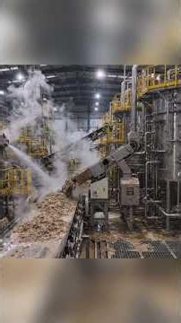 How It's Made: The Complete Playing Cards Manufacturing Process From Raw Wood Logs