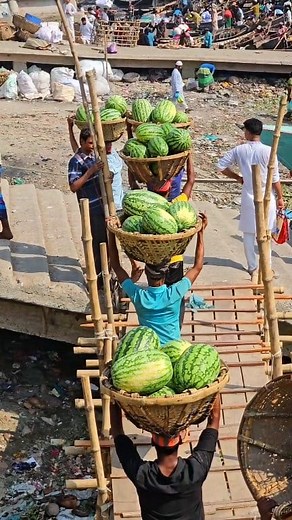 214K views · 3.5K reactions | তরমুজ  | 2020 Vlogs | Facebook