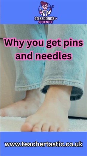 GCSE Biology: Why Your Foot Falls Asleep 😳 | Active Transport Explained!