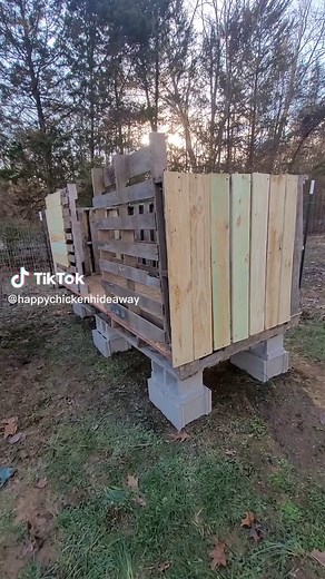 DIY Chicken Coop Construction: Pallets & Fence Pickets
