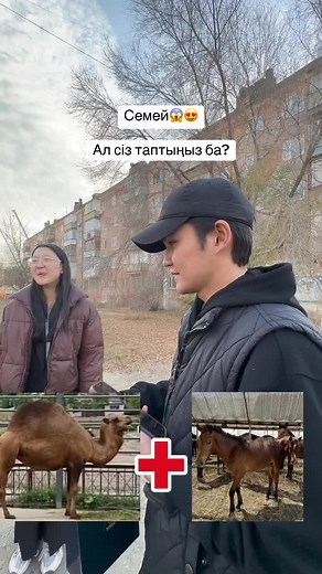 Insta:barakatperfume_ #semey #баракатпарфюм #рекомендации #семей #парфюм