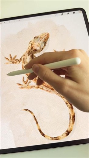 Watercolor Lizard 🦎 in Procreate ✏️ #procreate