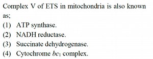 Complex V of ETS in mitochondria is also known as;(1) ATP synt... | Filo
