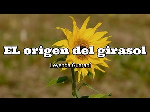 El origen del girasol, leyenda Guaraní