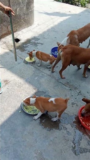 Two people are arguing over food.