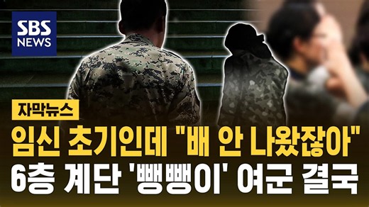 임신 초기인데 "배 안 나왔잖아".. 6층 계단 '뺑뺑이' 여군 결국 (자막뉴스) / SBS