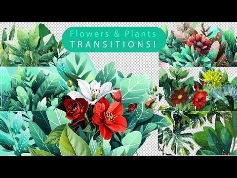 Flowers & Plants Transitions