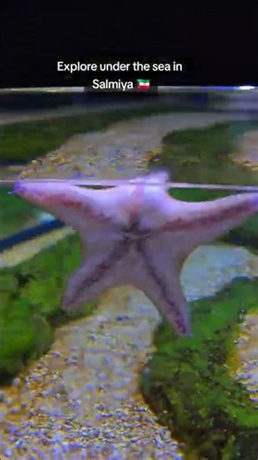 Life-Saving Innovations You Didn't Know About