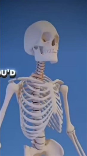 Yo ho ho ho | Brook edit | Funk do surprise | #anime #phonkmusic #onepiece #shorts #shortvideo #edit