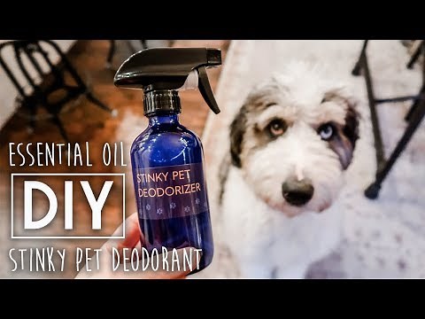 DIY Stinky Pet Deodorizer Spray