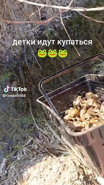 Свобода и побег в роскоши