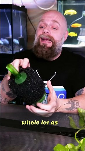 Boost Aquarium Flow: Powerhead vs Sponge Filter Secrets!