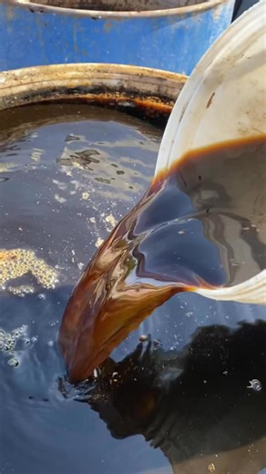 24K views · 640 reactions | El humus o lixiviado y sus beneficios #humus #humusdelombriz #agro #microbiota #microbiology #UAAAN #seguidores #suelo Universidad Autónoma Agraria Antonio Narro | Agroecologicos UA | Facebook