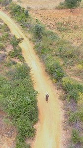 3.8K views · 27 reactions | With access to safe water, women can change the future for themselves and their families. Give now to help empower women in need with lasting access to safe water and the hope that flows from it. Donate here: https://water.org/women-and-water-2025/ | Water.org | Facebook