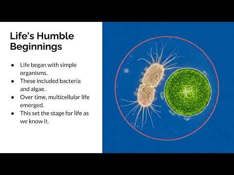 The Precambrian Era - Slideshow Digital Audio Presentation