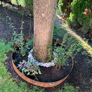 [Hot Item] Landscape Metal Lawn Edging Rusty Corten Steel Tree Rings