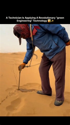 This Green Engineering Tech Can Stop Desertification