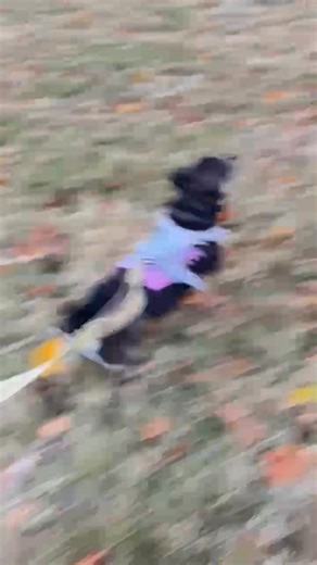 Hello Wonderful Friends - From Paul and Spicy! Have an Awesome Monday! | Paul Flotron | Facebook